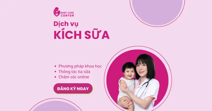 dichvukichsua