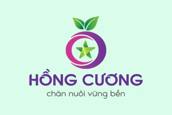 thiet-ke-web-cong-ty-hong-cuong-1